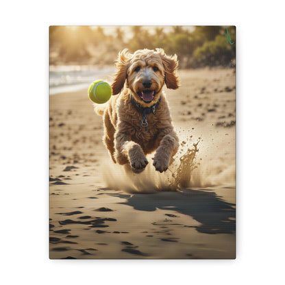 Goldendoodle Fetch Canvas Gallery Wrap