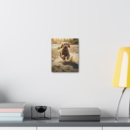 Goldendoodle Fetch Canvas Gallery Wrap