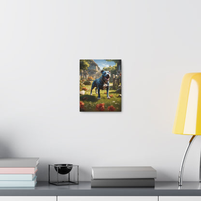 Pitbull Canvas Gallery Wrap