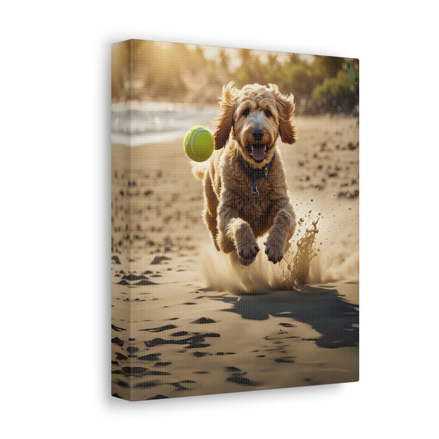 Goldendoodle Fetch Canvas Gallery Wrap