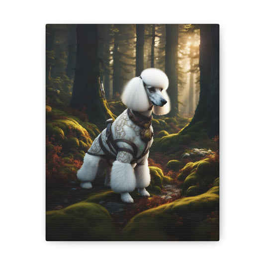 White Poodle In The Forest Canvas Gallery Wrap